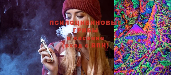 сатива Балахна