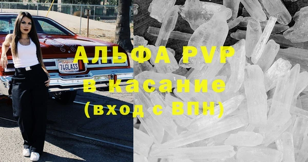 сатива Балахна