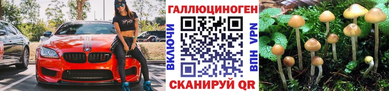 Псилоцибиновые грибы мицелий Приволжск